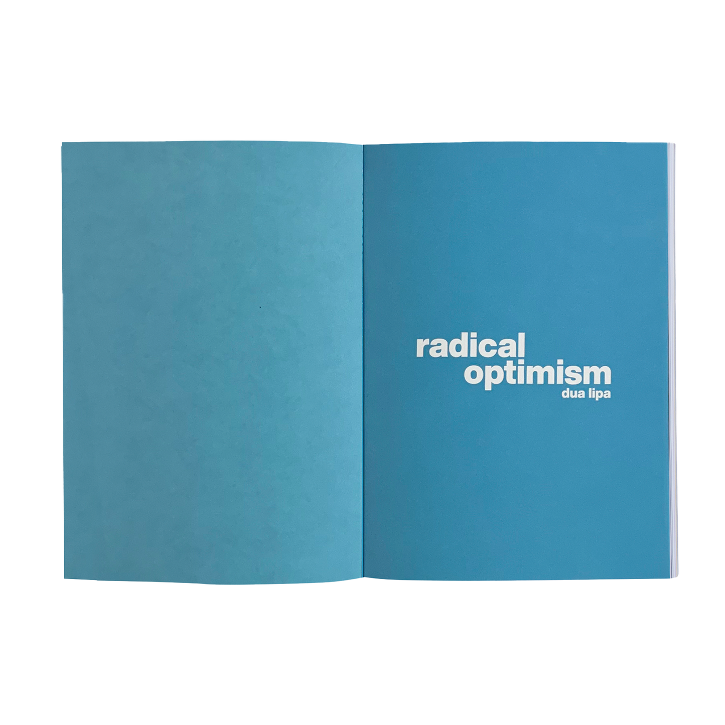 Radical Optimism | handwritten album notebook